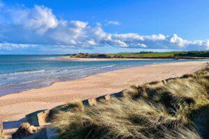 7074642C 9FB7 4684 9D98 15B6DC0A4319