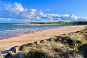 7074642C 9FB7 4684 9D98 15B6DC0A4319 450x300 7074642C 9FB7 4684 9D98 15B6DC0A4319 450x300